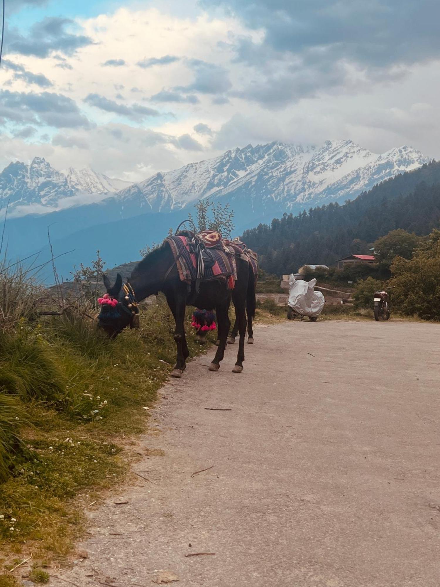 Faraway Cottages, Auli Joshīmath Exterior foto