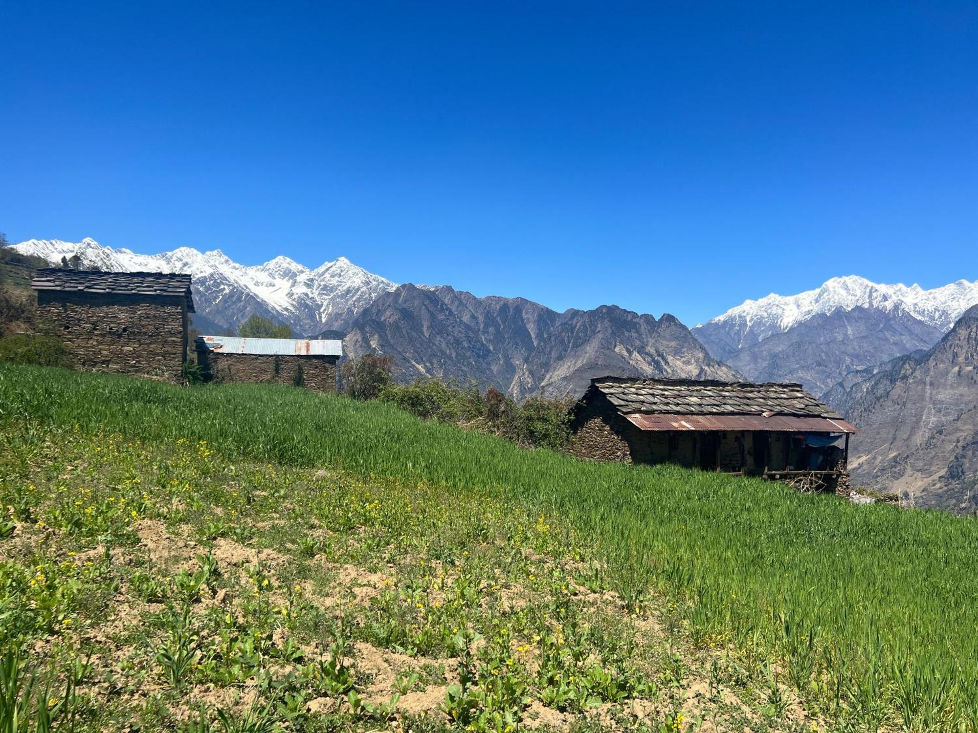 Faraway Cottages, Auli Joshīmath Exterior foto