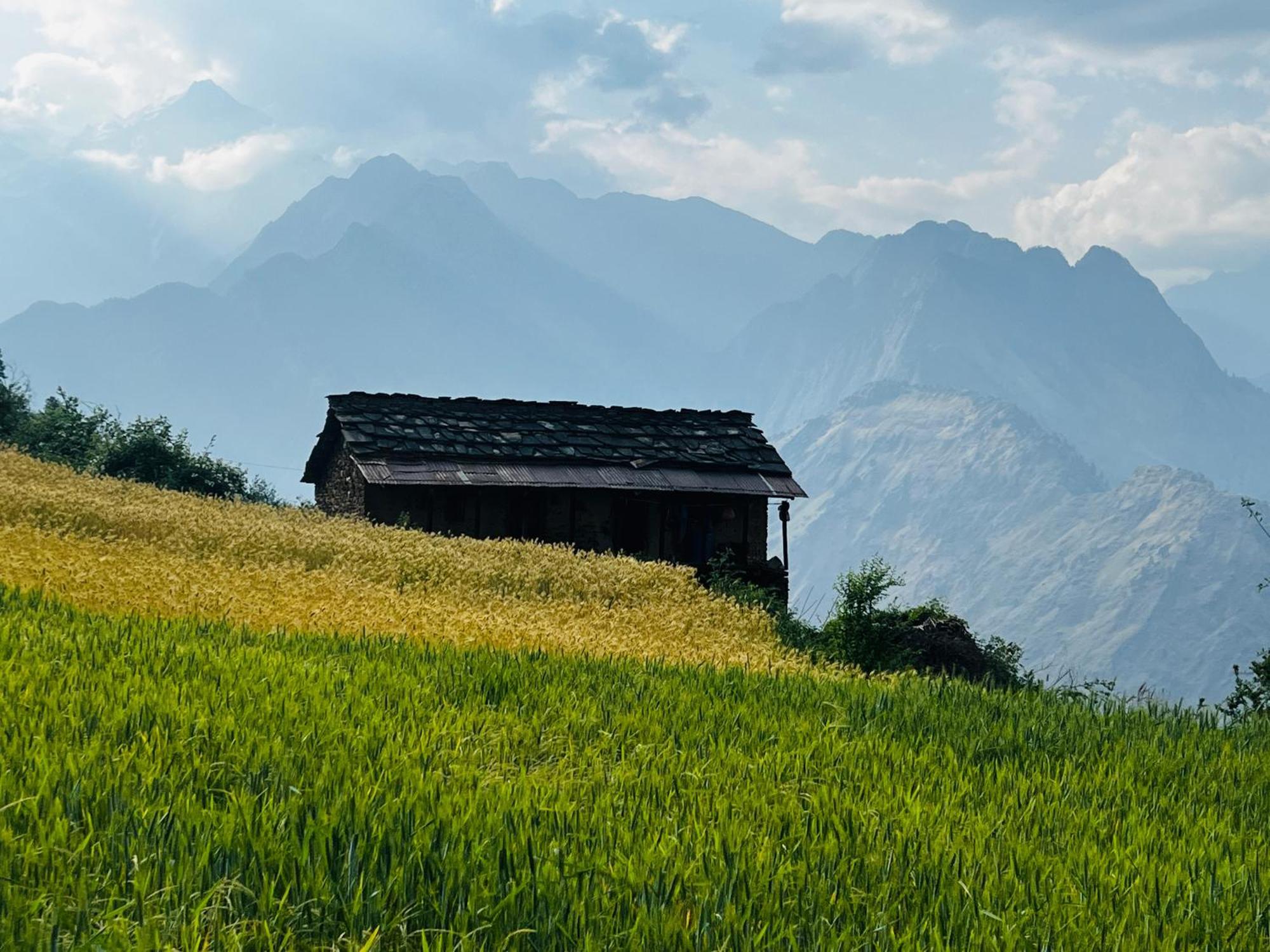 Faraway Cottages, Auli Joshīmath Exterior foto